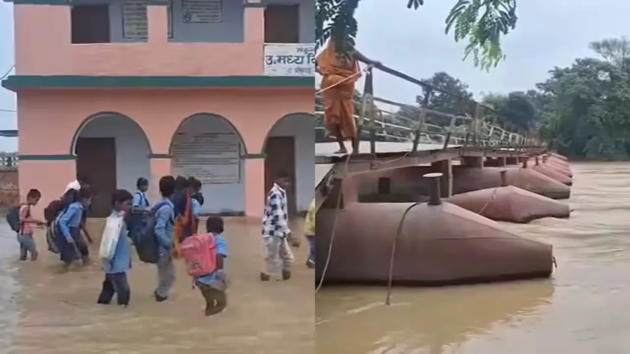 Ration distribution